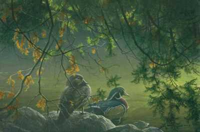 On The Pond Wdd by Robert Bateman Pricing Limited Edition Print image