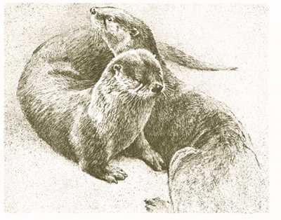 Otter Pair by Robert Bateman Pricing Limited Edition Print image