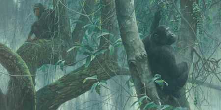 At Mahale Chimpanz by Robert Bateman Pricing Limited Edition Print image