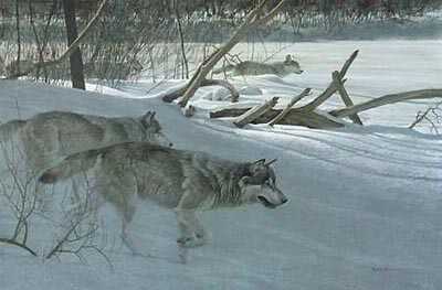Wolf Pack Moonl by Robert Bateman Pricing Limited Edition Print image