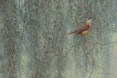 Song Of South by Robert Bateman Pricing Limited Edition Print image