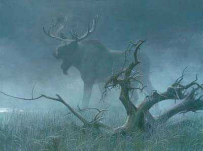 Moose Moonlight by Robert Bateman Pricing Limited Edition Print image