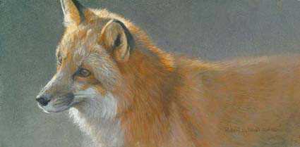 Questing Red Fox by Robert Bateman Pricing Limited Edition Print image