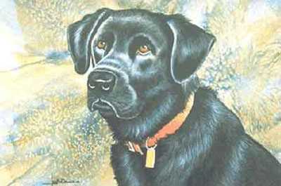 Black Lab by Les Jr Mcdonald Pricing Limited Edition Print image