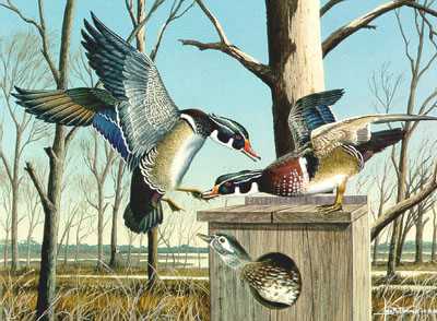 Wetland Woodies by Les Jr Mcdonald Pricing Limited Edition Print image