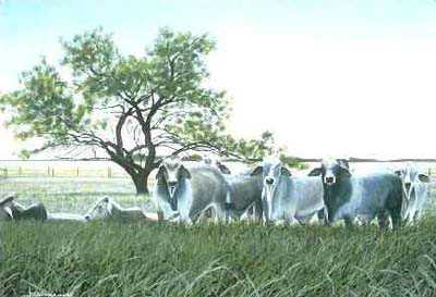 Brahmans by Les Jr Mcdonald Pricing Limited Edition Print image