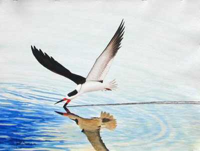 Silent Skimmer by Les Jr Mcdonald Pricing Limited Edition Print image