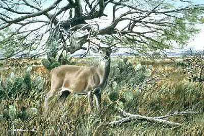 Bush Master by Les Jr Mcdonald Pricing Limited Edition Print image