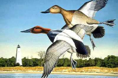 Canvasbacks by Les Jr Mcdonald Pricing Limited Edition Print image