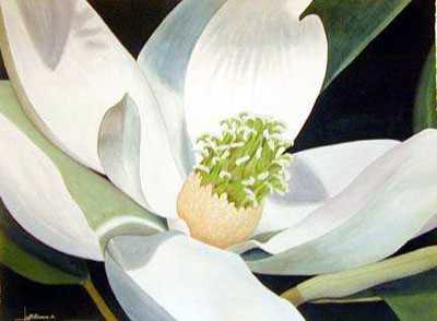 Magnolia by Les Jr Mcdonald Pricing Limited Edition Print image