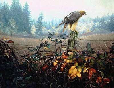 Raptors Watch by Stephen E Lyman Pricing Limited Edition Print image