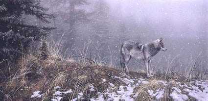 Silent Snows by Stephen E Lyman Pricing Limited Edition Print image