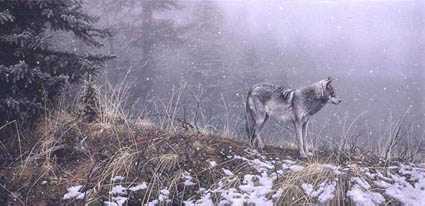 Silent Snows by Stephen E Lyman Pricing Limited Edition Print image