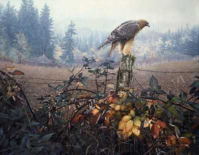 Raptor by Stephen E Lyman Pricing Limited Edition Print image