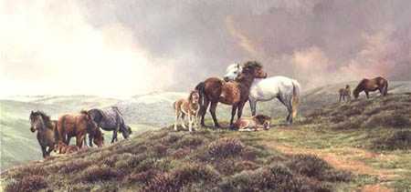 Dartmoor Ponies by Bonnie Marris Pricing Limited Edition Print image