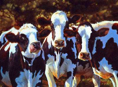 Dairy Queens by Bonnie Marris Pricing Limited Edition Print image