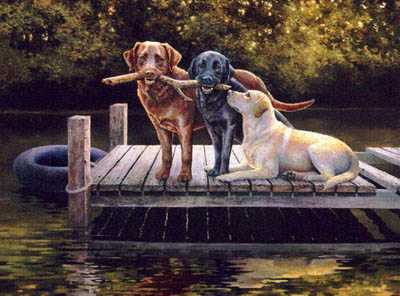 Dog Days by Bonnie Marris Pricing Limited Edition Print image