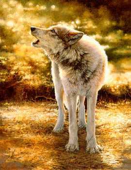 Wolfsong by Bonnie Marris Pricing Limited Edition Print image