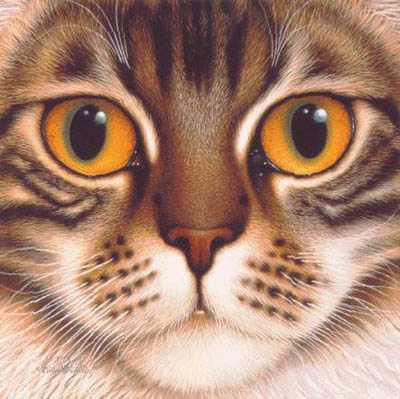 9 Lives Cinnamn Pt by Braldt Bralds Pricing Limited Edition Print image