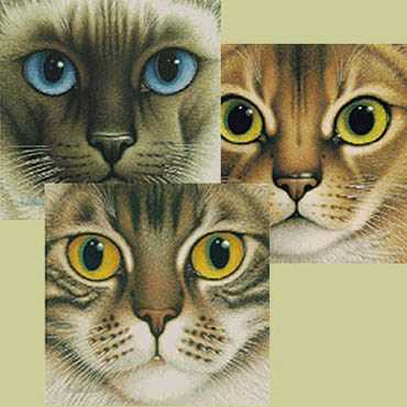 9 Lives Suite 2 by Braldt Bralds Pricing Limited Edition Print image