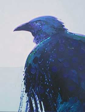 Raven Study 2 by J Nelson Pricing Limited Edition Print image