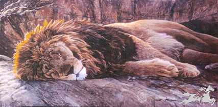 Noble Nap by Jan Martin Mcguire Pricing Limited Edition Print image