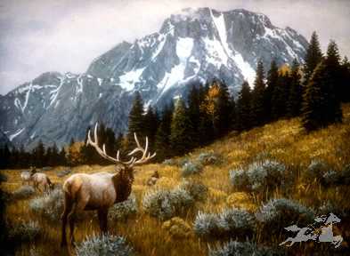 Majesty In Mtns by Jan Martin Mcguire Pricing Limited Edition Print image