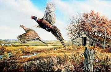 Prairie Dancehall by James A Meger Pricing Limited Edition Print image