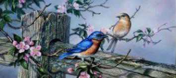 In The Pink Bluebirds by James A Meger Pricing Limited Edition Print image