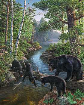 Bear Pause by James A Meger Pricing Limited Edition Print image