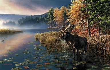 Canoe Country by James A Meger Pricing Limited Edition Print image