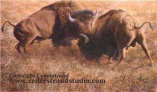 Battling Bulls by Robert (B Scott) Cederstrand Pricing Limited Edition Print image