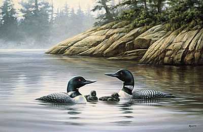 Northern Mist Loons by Rosemary Millette Pricing Limited Edition Print image