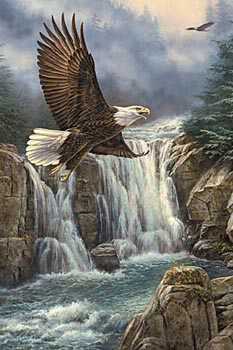 Majestic Flight by Rosemary Millette Pricing Limited Edition Print image