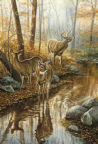 Backwtr Pass Deer by Rosemary Millette Pricing Limited Edition Print image