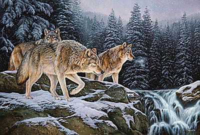 Spirit Wild Wolves by Rosemary Millette Pricing Limited Edition Print image