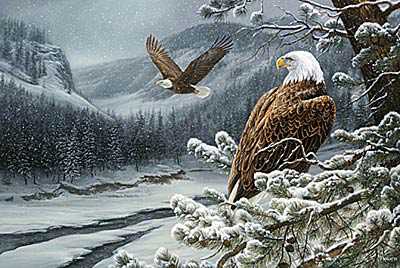 Spirit Wild Eagle by Rosemary Millette Pricing Limited Edition Print image