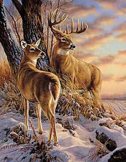 Twilight Escap Deer by Rosemary Millette Pricing Limited Edition Print image