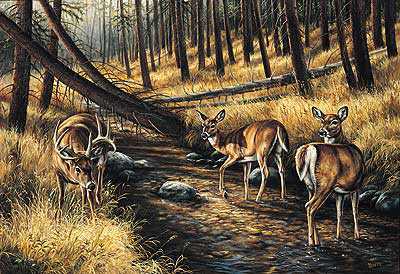 Streambed Encounter by Rosemary Millette Pricing Limited Edition Print image