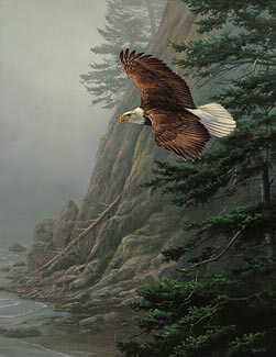 Freedom Flight by Rosemary Millette Pricing Limited Edition Print image