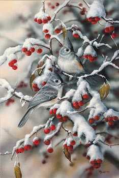 Winter Gem Titmouse by Rosemary Millette Pricing Limited Edition Print image