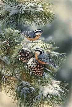Winter Gem Nuthatch by Rosemary Millette Pricing Limited Edition Print image