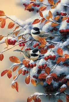 Winter Gem Chickadee by Rosemary Millette Pricing Limited Edition Print image