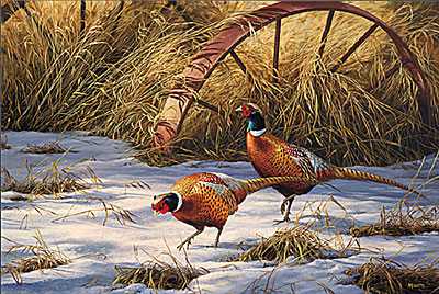 Heartland Pheasnts by Rosemary Millette Pricing Limited Edition Print image