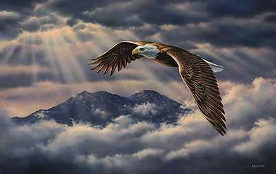 Above The Clouds by Rosemary Millette Pricing Limited Edition Print image