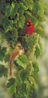 Vineyard Cardinals by Rosemary Millette Pricing Limited Edition Print image