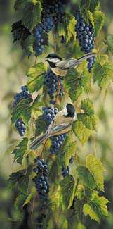 Vineyard Chickadees by Rosemary Millette Pricing Limited Edition Print image