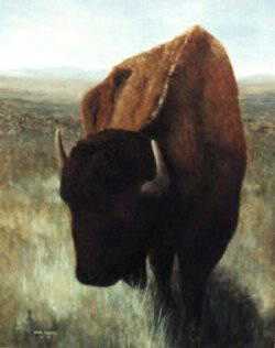 Buffalo by Carl D Rhodes Pricing Limited Edition Print image