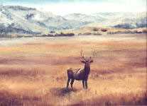 Ichita Elk by Carl D Rhodes Pricing Limited Edition Print image
