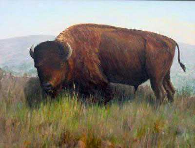 King Of The Plains by Carl D Rhodes Pricing Limited Edition Print image